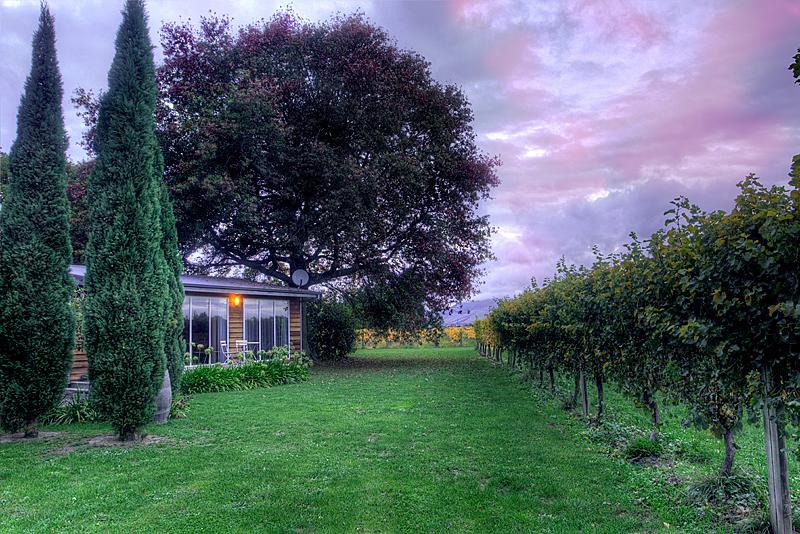 Walnut Block Cottages Blenheim Dış mekan fotoğraf